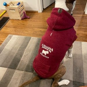 Canada Pooch 22” winter dog jacket